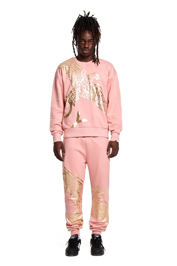 Sweat-shirt Boy Wingspan