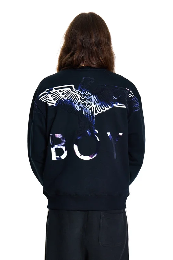 Sweat-shirt Boy Eagle Flock