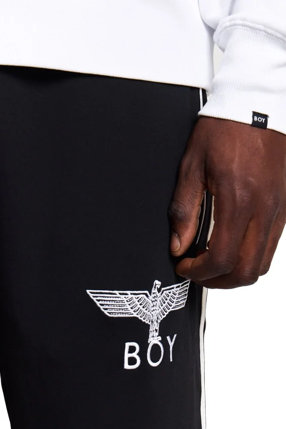 Sweat-shirt Boy Eagle Flock