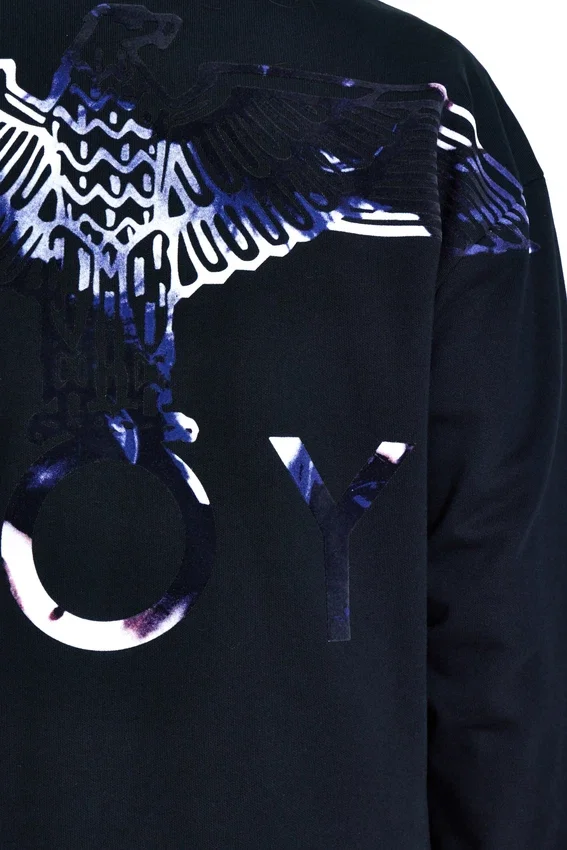 Sweat-shirt Boy Eagle Flock