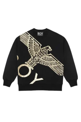 Sweat-shirt Boy Wingspan