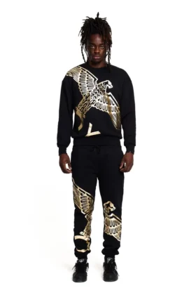 Sweat-shirt Boy Wingspan