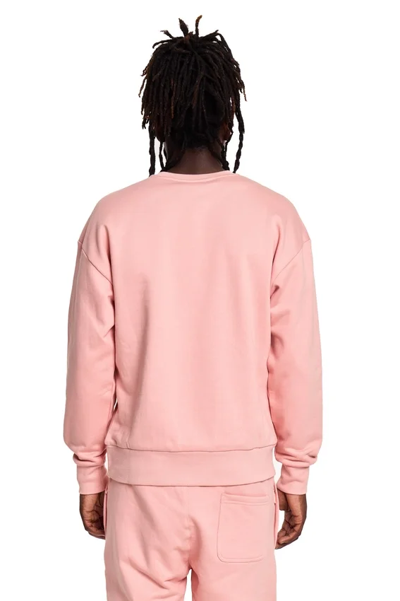 Sweat-shirt Boy Wingspan