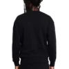 Sweat-shirt Boy Wingspan