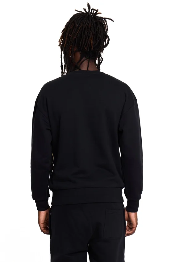 Sweat-shirt Boy Wingspan