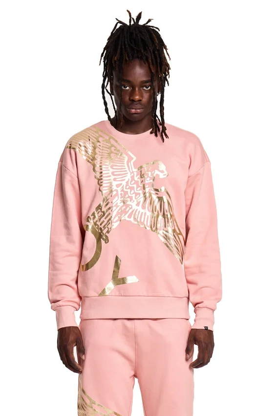 Sweat-shirt Boy Wingspan