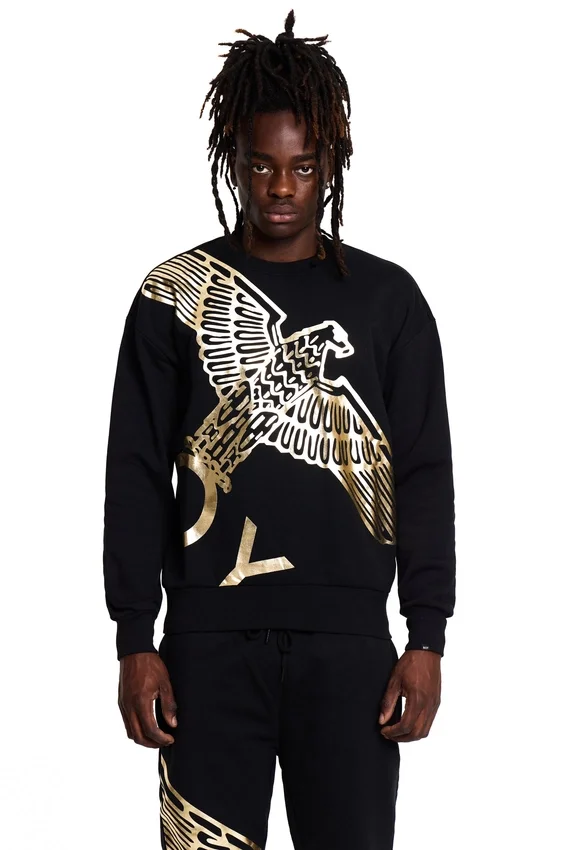 Sweat-shirt Boy Wingspan