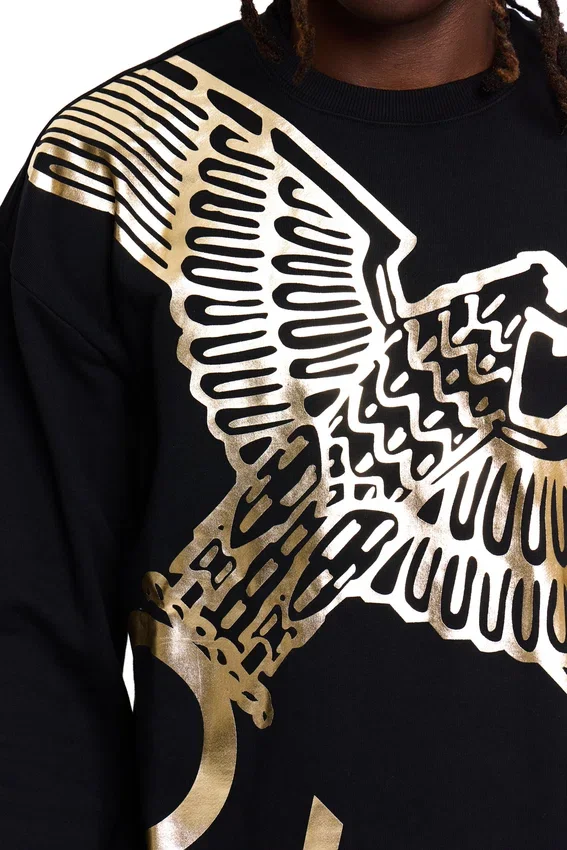 Sweat-shirt Boy Wingspan