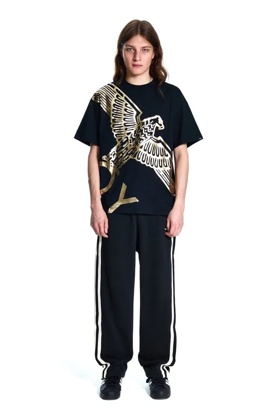 T-shirt Boy Wingspan