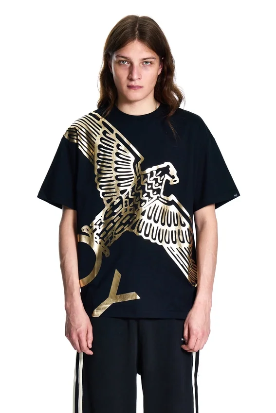T-shirt Boy Wingspan